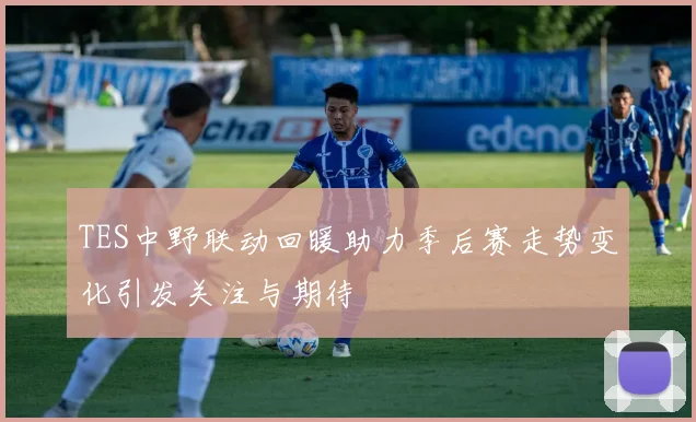 TES中野联动回暖助力季后赛走势变化引发关注与期待
